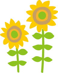 sunflower2